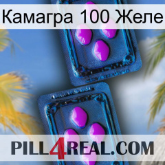 Камагра 100 Желе 03